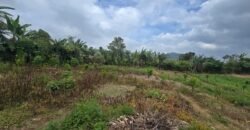 Tanah Kebun View Bukit dan Lembah di Daerah Kintamani Bali