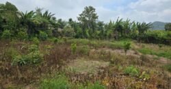 Tanah Kebun View Bukit dan Lembah di Daerah Kintamani Bali