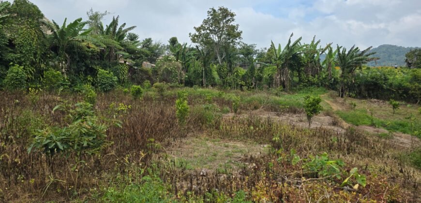 Tanah Kebun View Bukit dan Lembah di Daerah Kintamani Bali