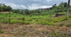 Tanah Kebun View Bukit dan Lembah di Daerah Kintamani Bali