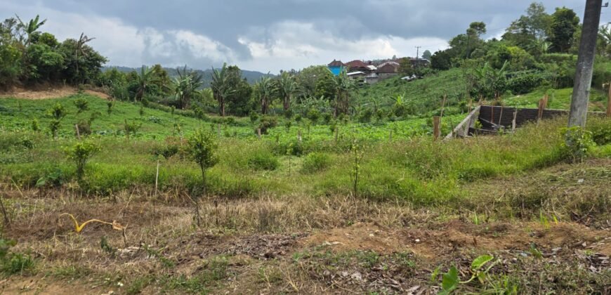 Tanah Kebun View Bukit dan Lembah di Daerah Kintamani Bali
