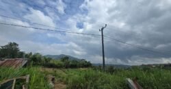 Tanah Kebun View Bukit dan Lembah di Daerah Kintamani Bali