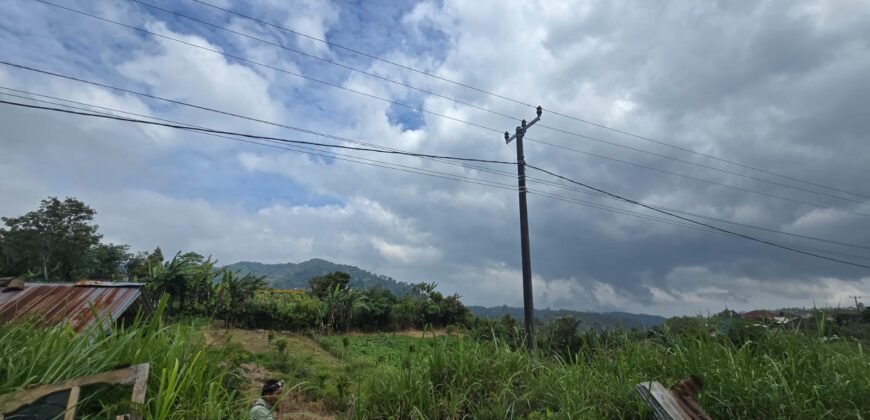 Tanah Kebun View Bukit dan Lembah di Daerah Kintamani Bali
