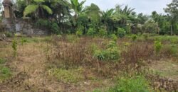 Tanah Kebun View Bukit dan Lembah di Daerah Kintamani Bali