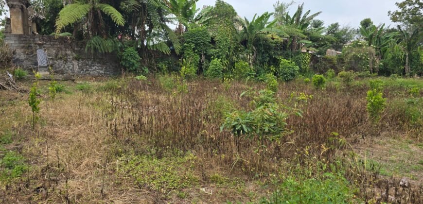 Tanah Kebun View Bukit dan Lembah di Daerah Kintamani Bali
