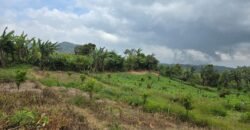Tanah Kebun View Bukit dan Lembah di Daerah Kintamani Bali