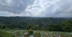 Tanah Kebun View Bukit dan Lembah di Kintamani Bali