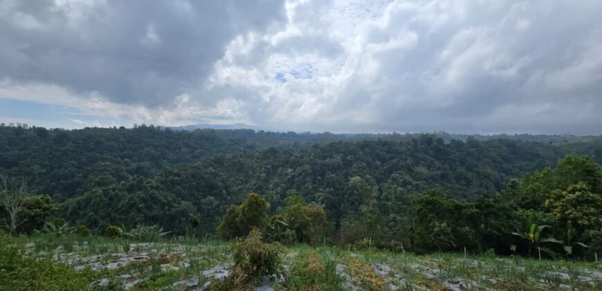 Tanah Kebun View Bukit dan Lembah di Kintamani Bali