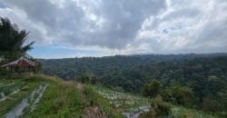 Tanah Kebun View Bukit dan Lembah di Kintamani Bali