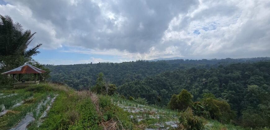 Tanah Kebun View Bukit dan Lembah di Kintamani Bali