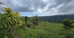 Tanah Kebun View Bukit dan Lembah di Kintamani Bali