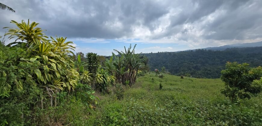 Tanah Kebun View Bukit dan Lembah di Kintamani Bali