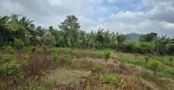 Tanah Kebun View Bukit dan Lembah di Kintamani Bali