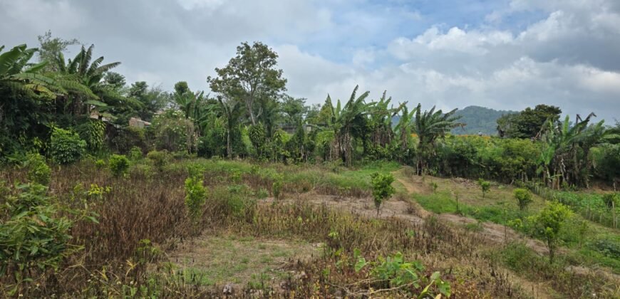 Tanah Kebun View Bukit dan Lembah di Kintamani Bali