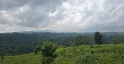 Tanah Kebun View Bukit dan Lembah di Kintamani Bali