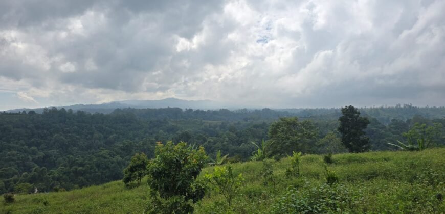 Tanah Kebun View Bukit dan Lembah di Kintamani Bali