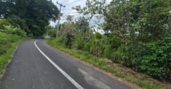 Tanah Kebun View Bukit dan Lembah di Kintamani Bali