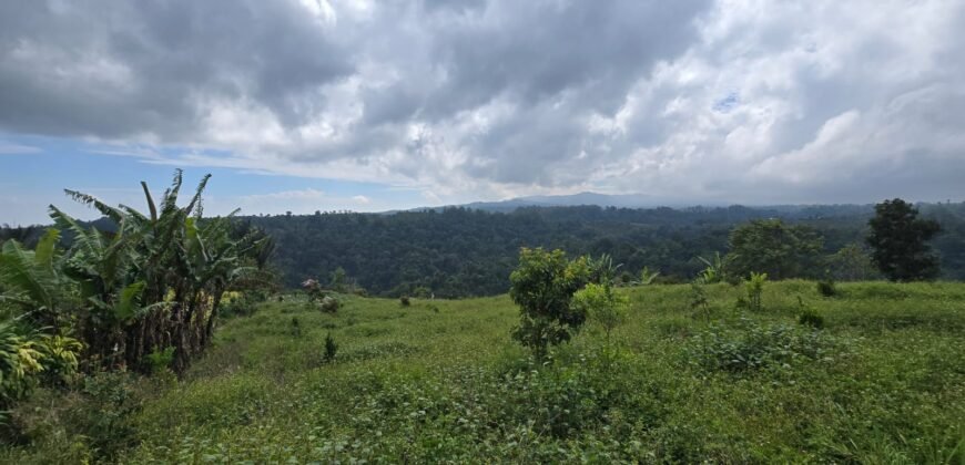 Tanah Kebun View Bukit dan Lembah di Kintamani Bali