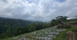 Tanah Kebun View Bukit dan Lembah di Kintamani Bali