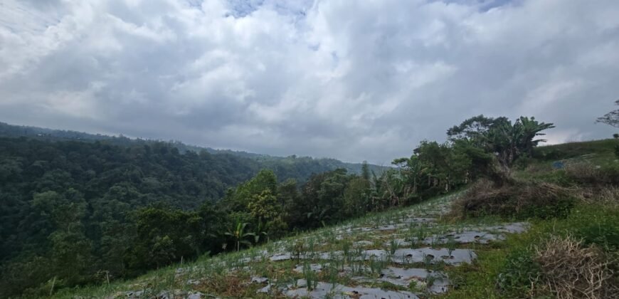 Tanah Kebun View Bukit dan Lembah di Kintamani Bali