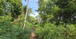 Tanah Los Pantai di Kubu Karangasem