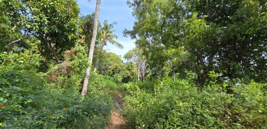 Tanah Los Pantai di Kubu Karangasem