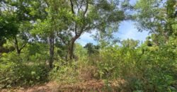 Tanah Los Pantai di Kubu Karangasem