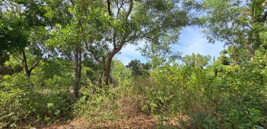 Tanah Los Pantai di Kubu Karangasem