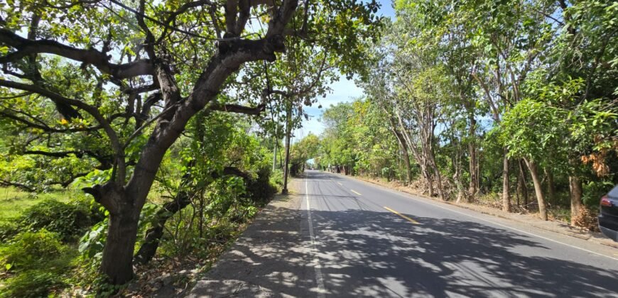 Tanah Los Pantai di Bali Utara dengan View Menakjubkan