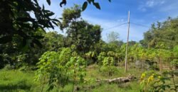 Tanah Los Pantai di Bali Utara dengan View Menakjubkan