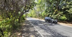 Tanah Los Pantai di Bali Utara dengan View Menakjubkan