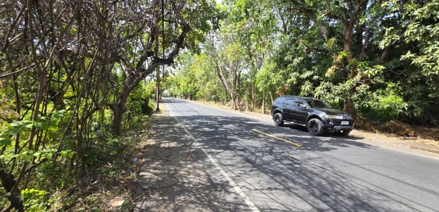Tanah Los Pantai di Bali Utara dengan View Menakjubkan