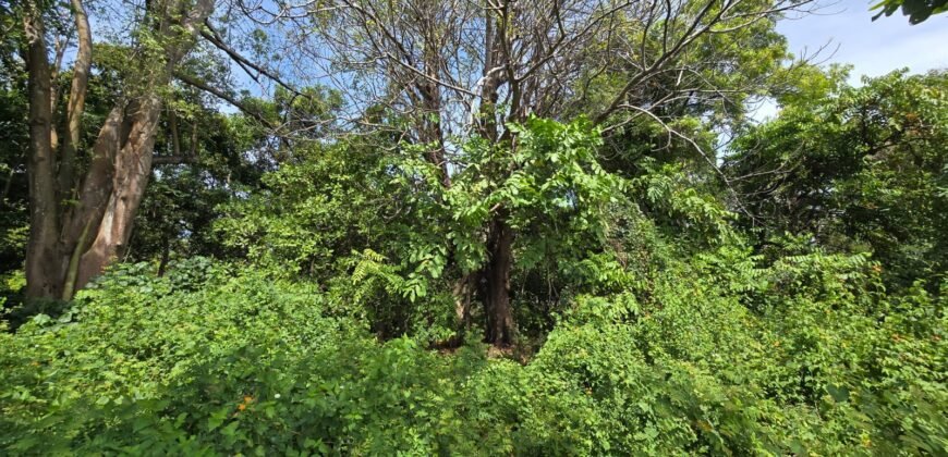 Tanah Los Pantai di Bali Utara dengan View Menakjubkan