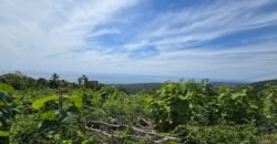 Tanah View Laut di Bali Utara dengan Kontur Datar Melandai