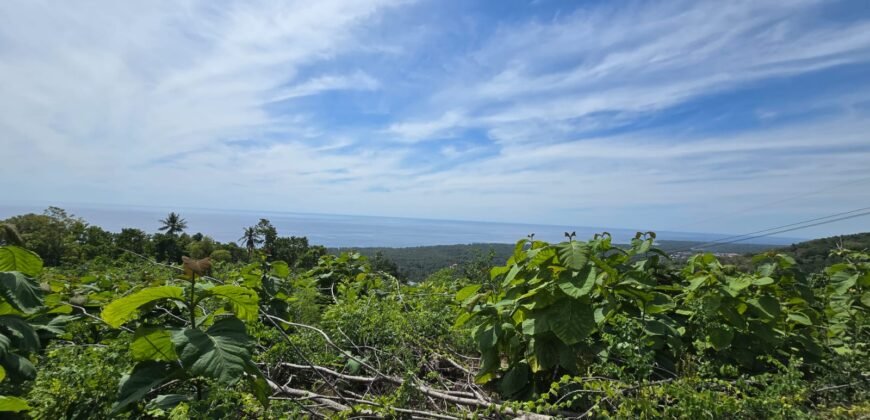 Tanah View Laut di Bali Utara dengan Kontur Datar Melandai