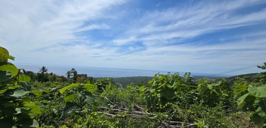 Tanah View Laut di Bali Utara dengan Kontur Datar Melandai