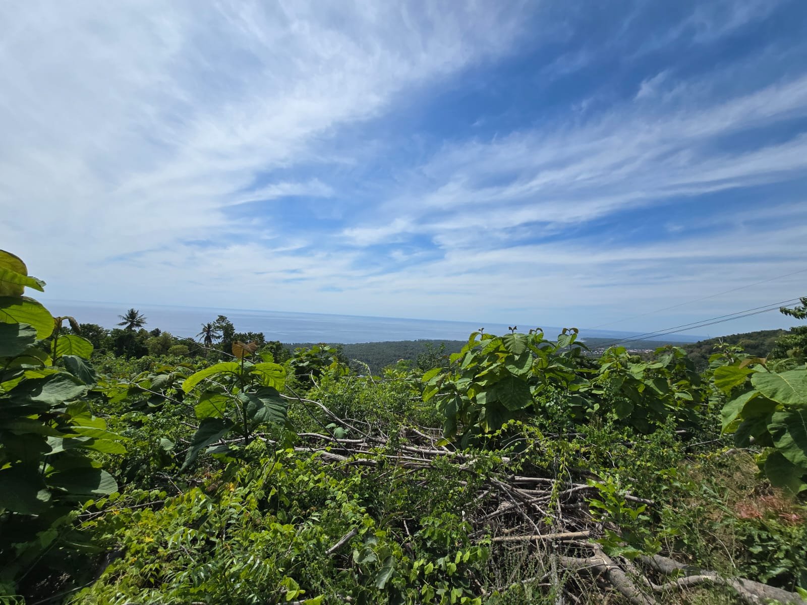 Tanah View Laut di Bali Utara dengan Kontur Datar Melandai