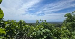 Tanah View Laut di Bali Utara dengan Kontur Datar Melandai