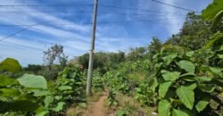Tanah View Laut di Bali Utara dengan Kontur Datar Melandai