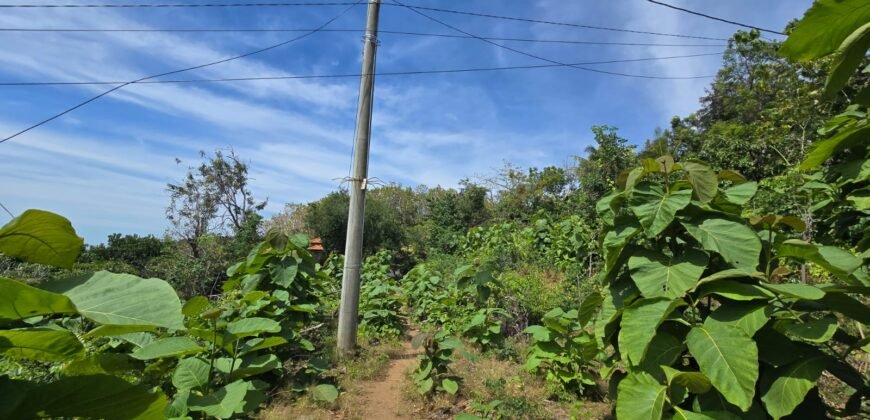 Tanah View Laut di Bali Utara dengan Kontur Datar Melandai