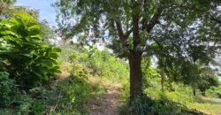 Tanah View Laut di Bali Utara dengan Kontur Datar Melandai