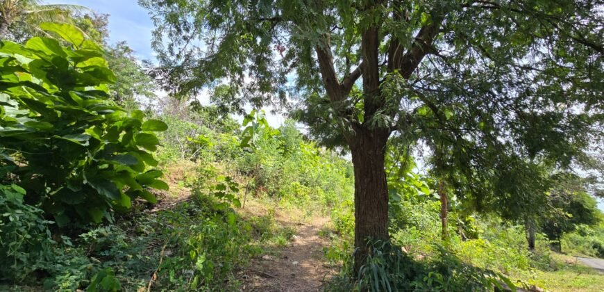 Tanah View Laut di Bali Utara dengan Kontur Datar Melandai