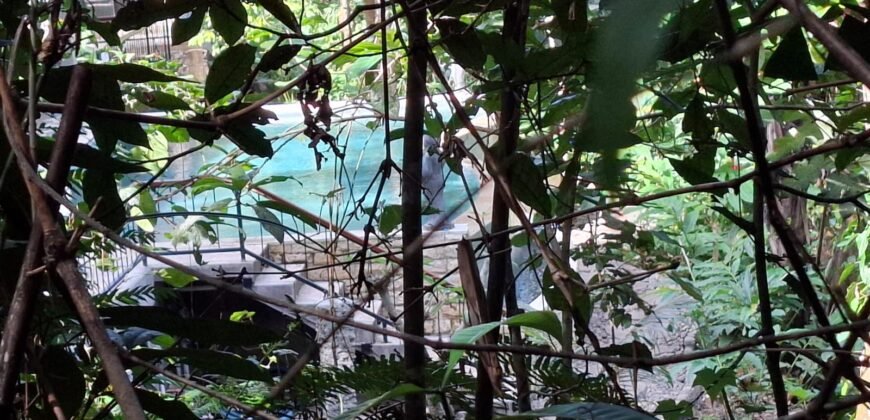 Tanah Los Sungai Besar Luasan Kecil Akses Jalan Poros