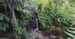 Tanah Los Sungai Besar Luasan Kecil Akses Jalan Poros