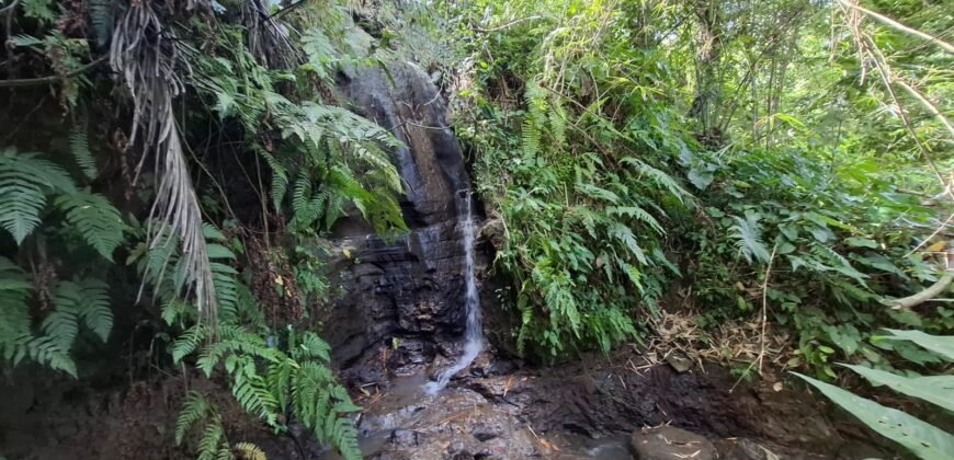 Tanah Los Sungai Besar Luasan Kecil Akses Jalan Poros
