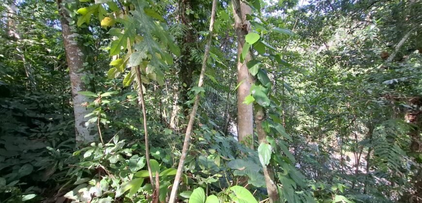 Tanah Los Sungai Besar Luasan Kecil Akses Jalan Poros