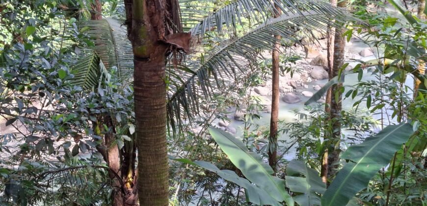 Tanah Los Sungai Besar Luasan Kecil Akses Jalan Poros