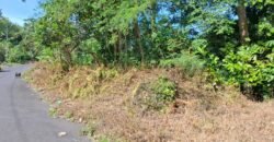 Tanah Los Sungai Besar Luasan Kecil Akses Jalan Poros