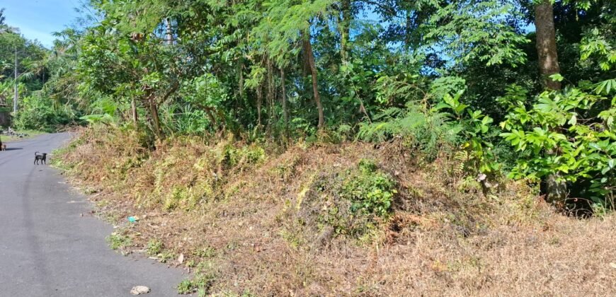 Tanah Los Sungai Besar Luasan Kecil Akses Jalan Poros