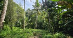 Tanah los sungai luasan kecil zona kuning pemukiman penduduk